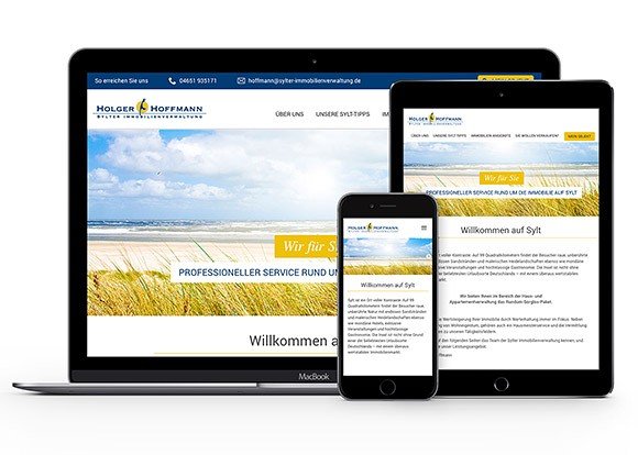 Homepage für Smartphone optimiert Homepage für Smartphone optimiert enders Marketing